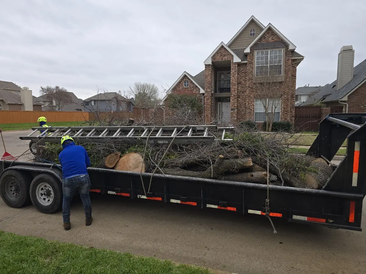 Expert Tree Pest Control with proper safety equipment in Iredell